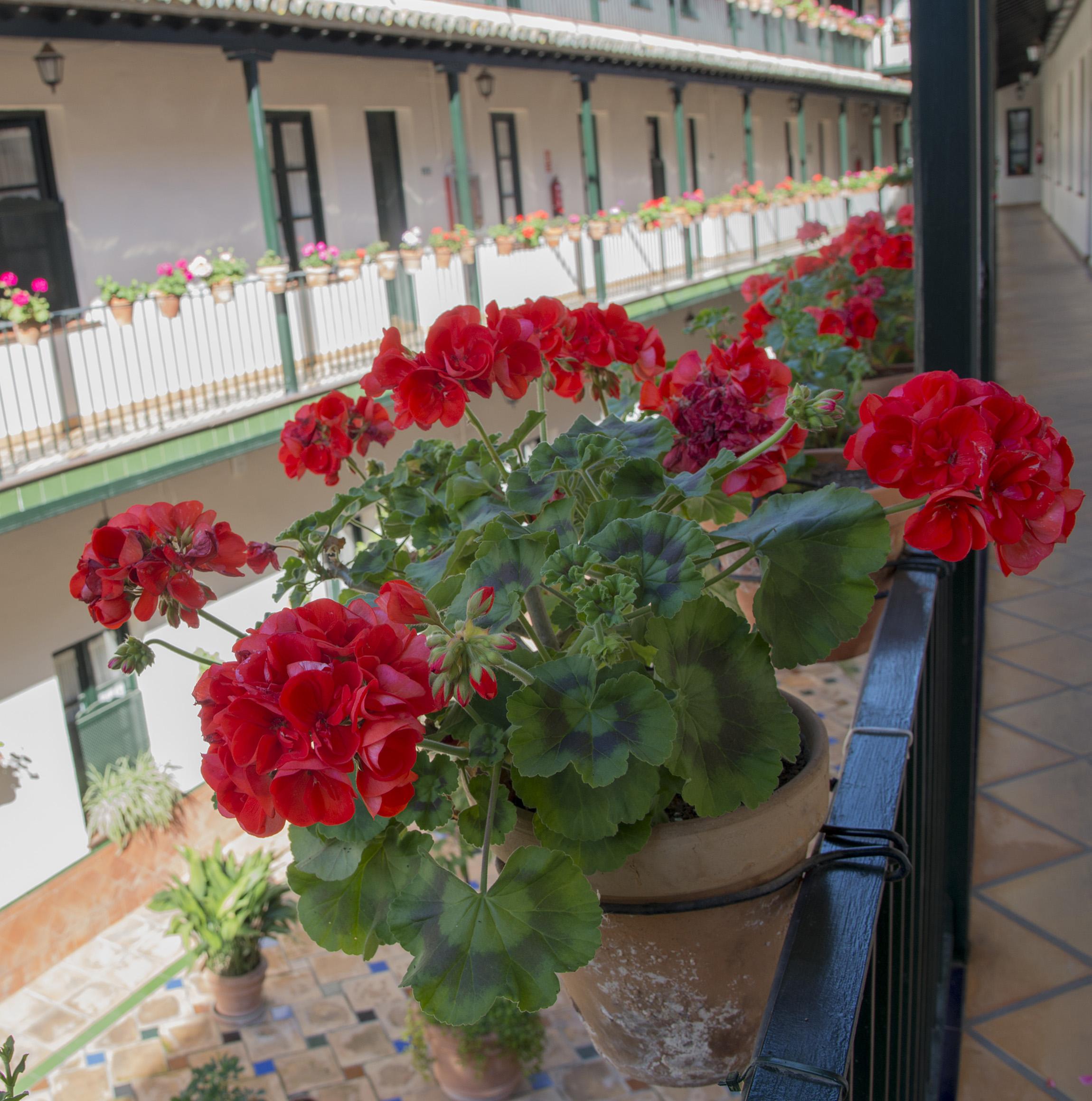 Corral De Los Chicharos Apartment Seville Exterior photo