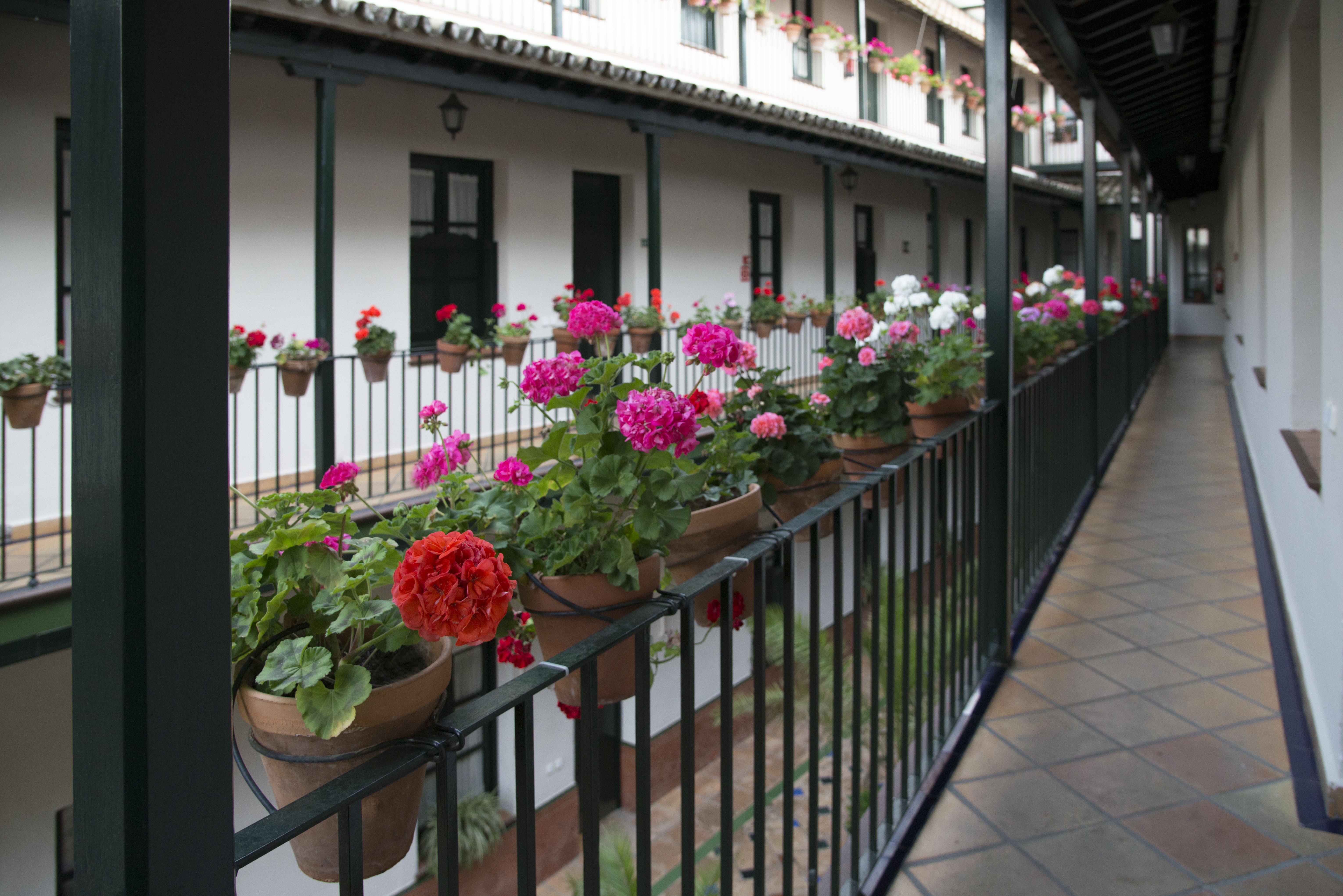 Corral De Los Chicharos Apartment Seville Exterior photo